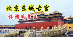 女人的鸡巴黄色被玩黄色网站中国北京-东城古宫旅游风景区